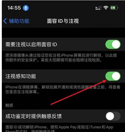 沁园街道苹果14维修网点分享iPhone14注视感知功能有什么用 